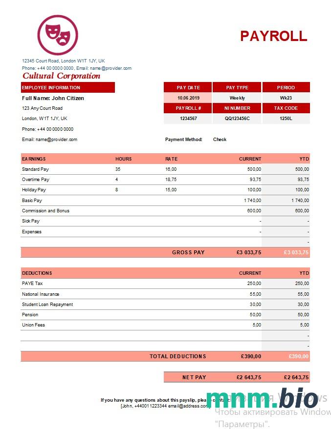 Szablon płac korporacji kulturalnej w formatach Excel i PDF